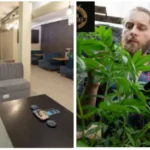 weed club sant antoni urgell 15 blue dream cannabis club